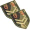 Embroidered US Army Iron On Patch Applique for Jackets Bags and Clothing